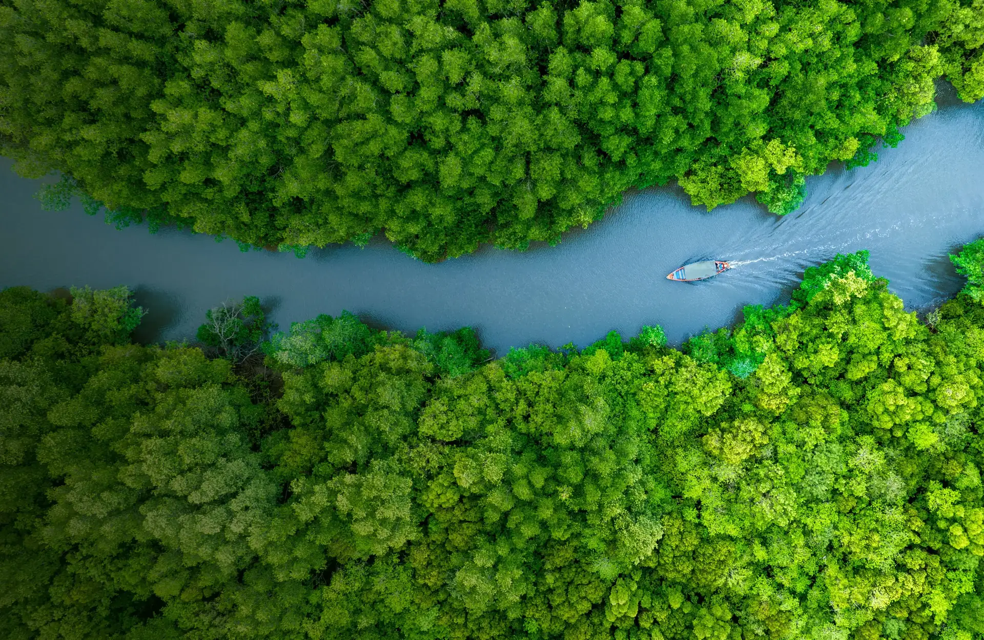 Aerial view of a river winding through dense green forest